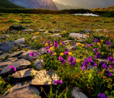 Colorful sunrise in the Rätikon Mountain-Range, Switzerland