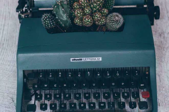 An old typewriter with cactuses growing inside