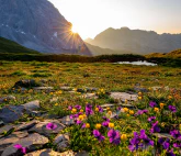 Colorful sunrise in the Rätikon Mountain-Range, Switzerland