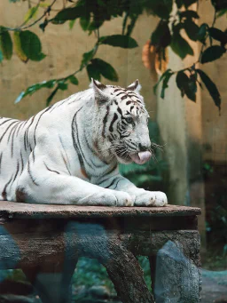 Small placeholder image in portrait ratio